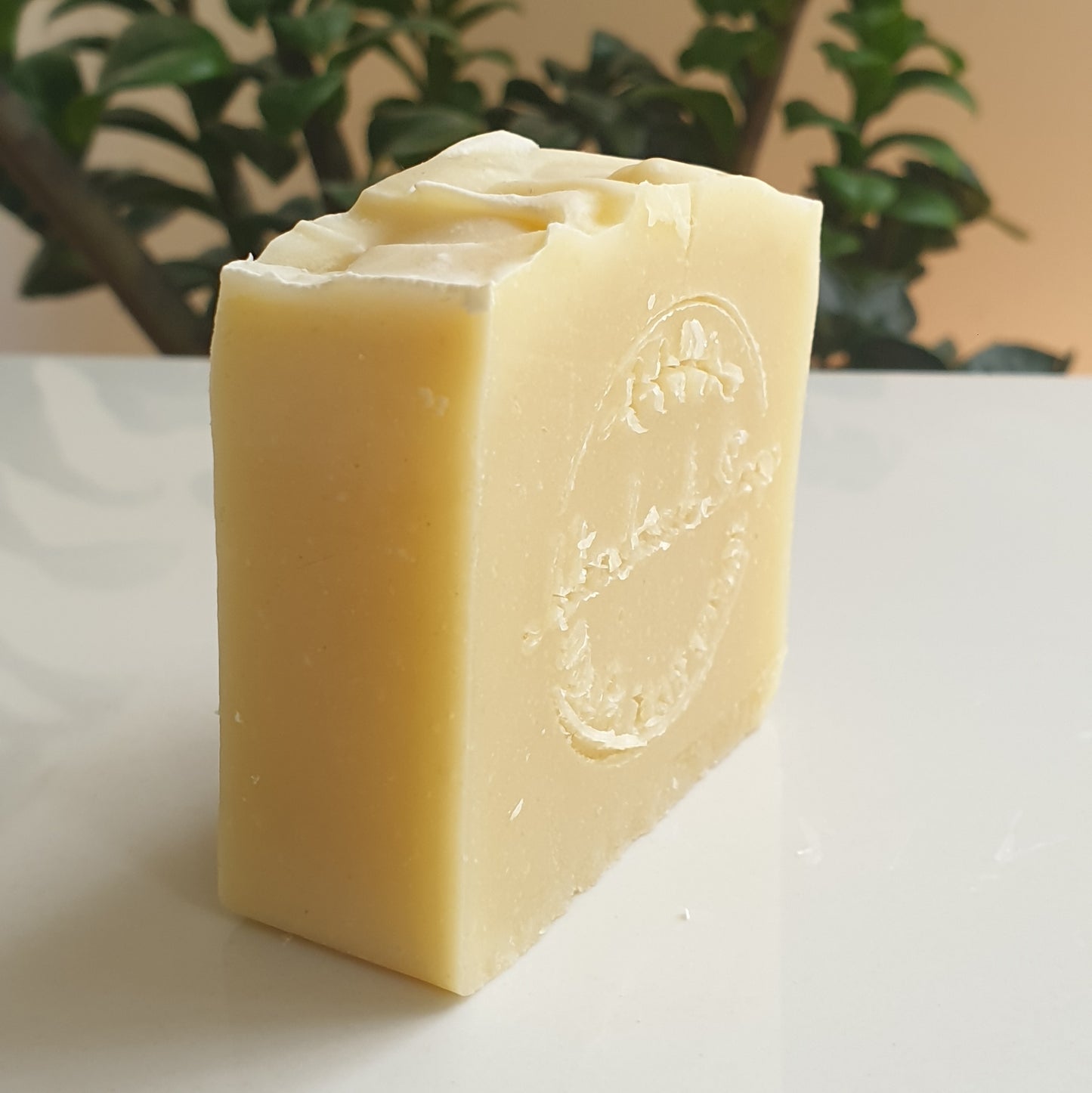 Coconut Milk and Oat Organic Bar Soap